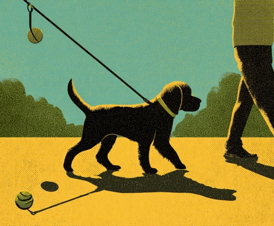Dog walks CU Card artwork